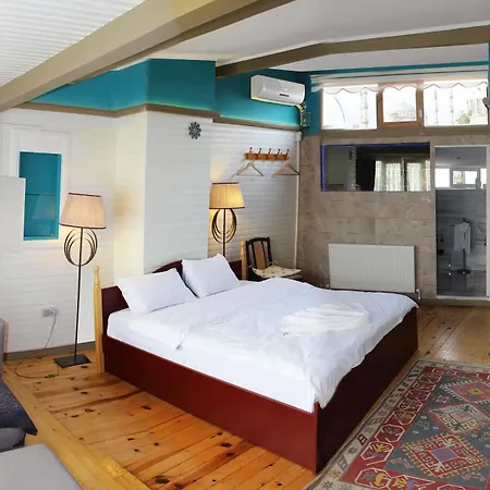 Hotel Mansion By Cheers Estambul